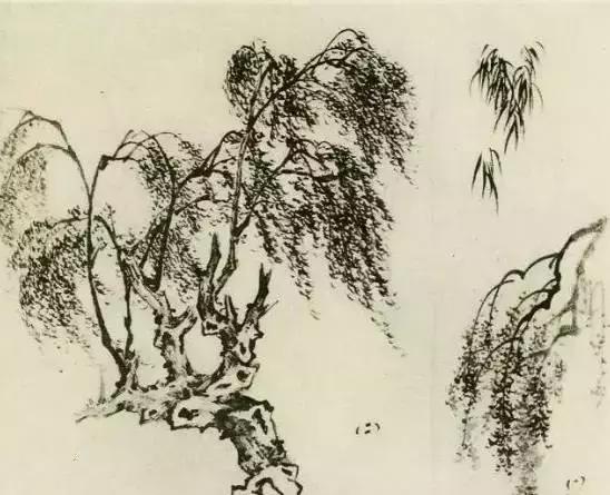 树怎么画简单又好看，如何画树简单又漂亮（水彩唯美风景画，手把手教你画）