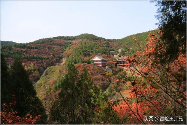 山东济南旅游景点有哪些，济南旅游必去景点攻略详细（泉城济南还有这么多好玩的地方）