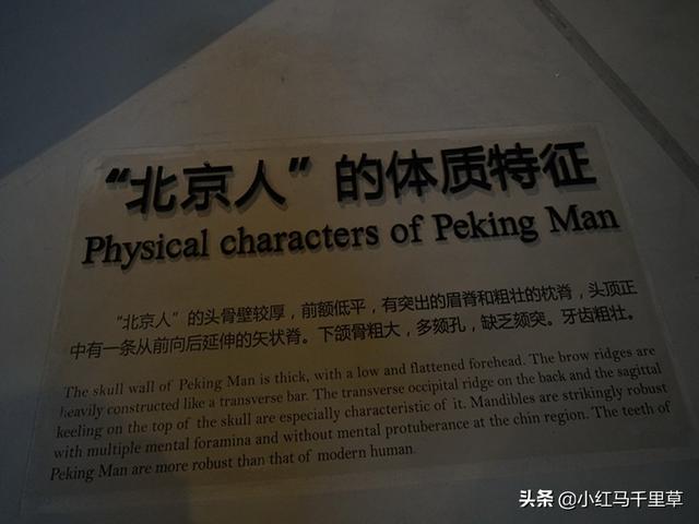 周口店北京人遗址，北京行记八世界文化遗产（周口店北京人遗址的历史价值）