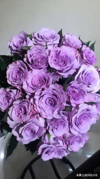 情人节送礼物为什么情人节要送玫瑰花？鲜花产业的秘密了解一下？