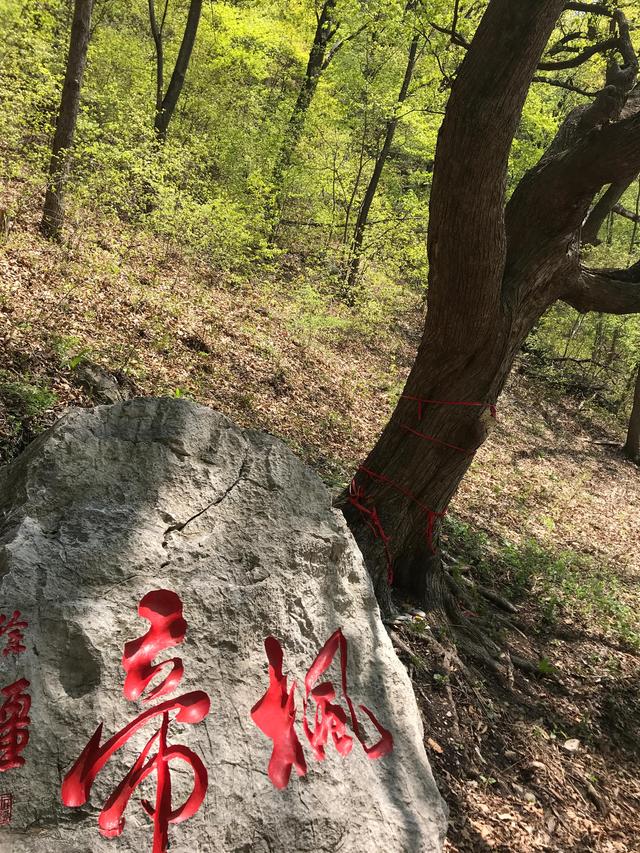 本溪关门山好还是千山好，山城本溪九鼎铁刹山值不值得去