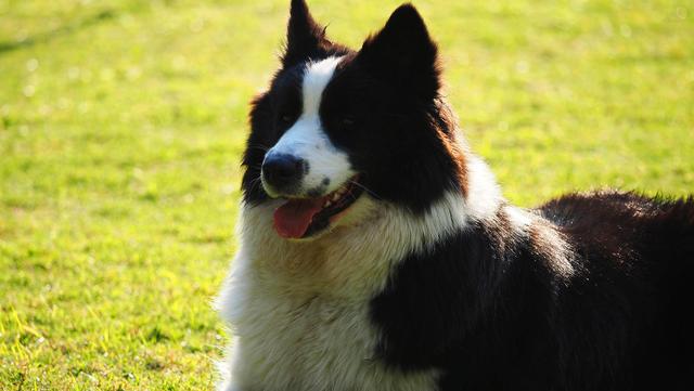 奥林巴斯em1，奥林巴斯em1mark3测评