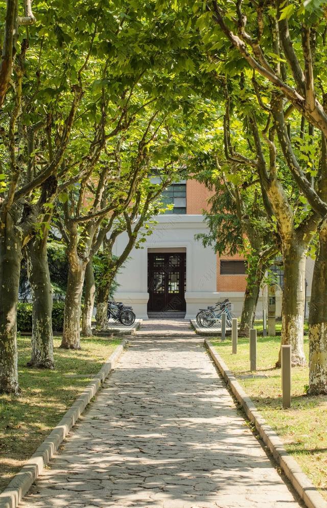 什么样绿荫填上合适的形容词，形容绿荫的叠词有哪些