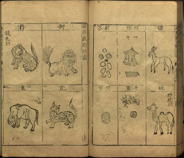 本草纲目全书带图，李时珍本草纲目全书（李时珍著《本草纲目》附图卷）