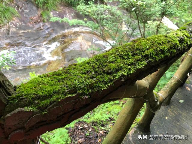 徒步南迦巴瓦峰最佳观景台，雾中徒步薄刀峰