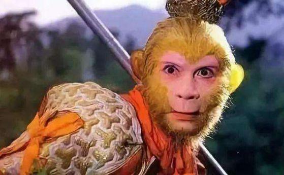 每日诗词名句100首，人间高雅千千万