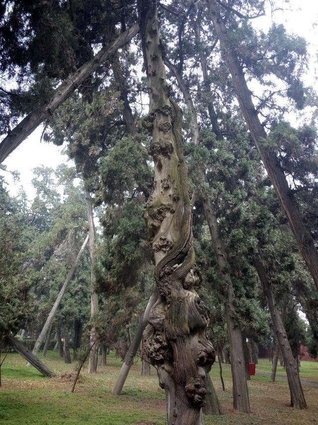 汉光武帝陵未解之谜，河南洛阳汉光武帝陵一直未解的几大谜团