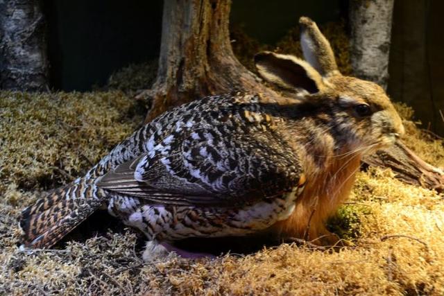 八种史前怪物，比巨齿鲨还要更加可怕的10个史前生物