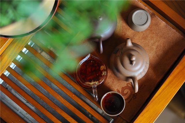 藏一片纯净多一份健康，真正的昆仑雪菊啥子样