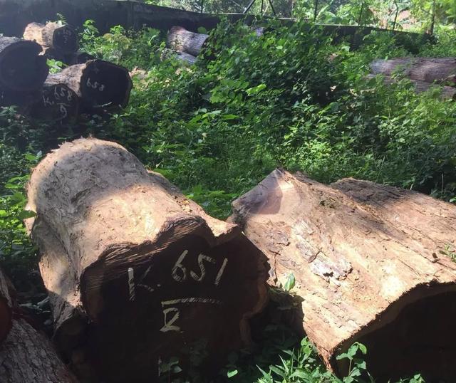 红木大红酸枝价格一般是多少，红木百科