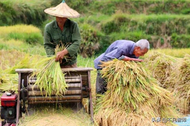 户口合并需要办理的3件事，“户口合并”或启动