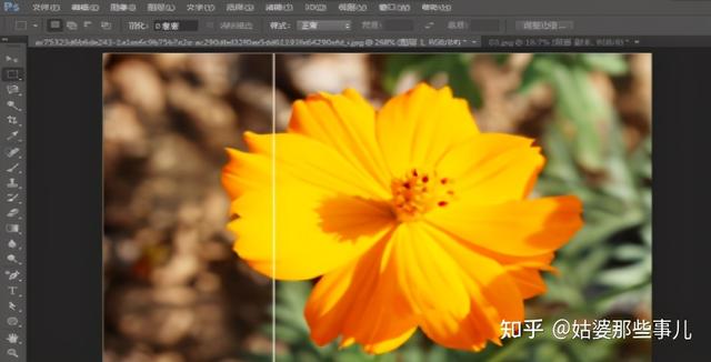 photoshop哪个版本最好用（新手下载ps哪个版本好）