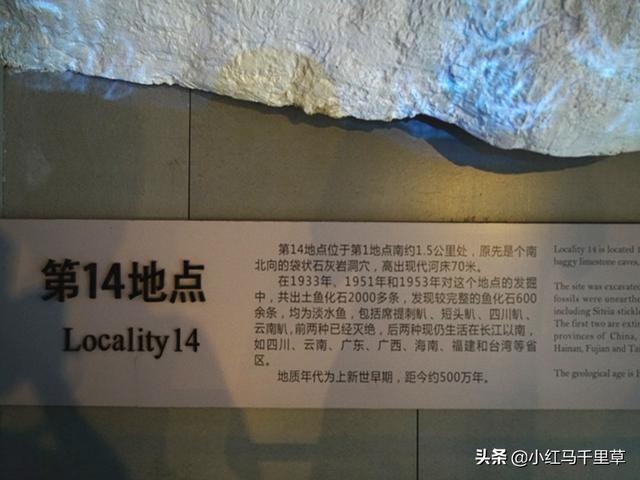 周口店北京人遗址，北京行记八世界文化遗产（周口店北京人遗址的历史价值）