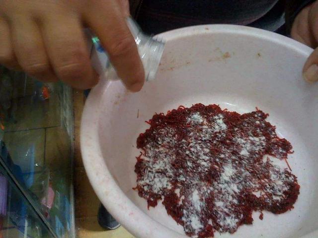 红虫串钩的正确方法，如何串钩钓鱼