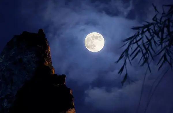 光合作用需要什么，植物需要用什么来进行光合作用（植物生理之植物的光合作用其四）