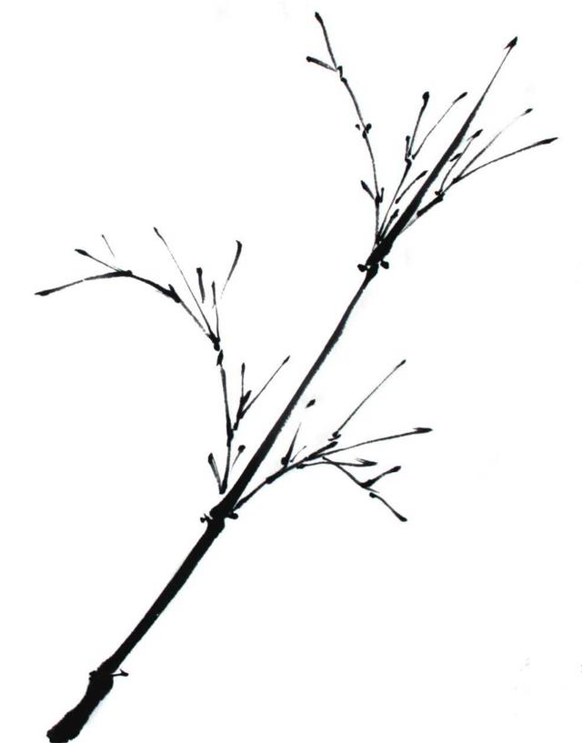 国画竹子的竹枝怎么画，国画竹竿竹枝画法