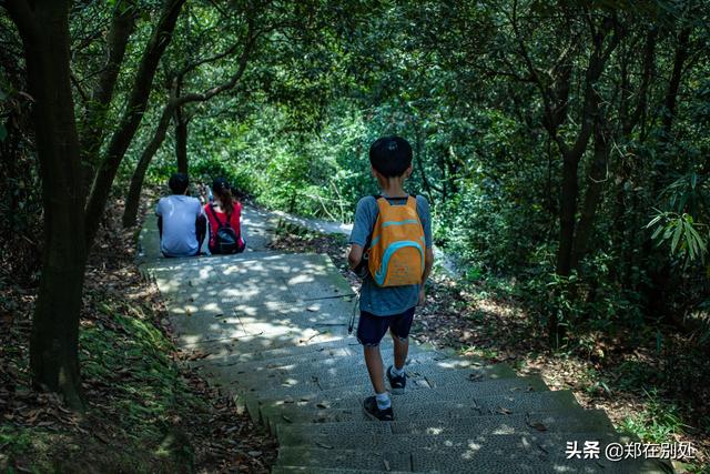 杭州冷门爬山路线，杭州登山路线08最好在这里