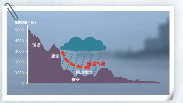 四川盆地又叫紫色盆地，四川盆地在这里