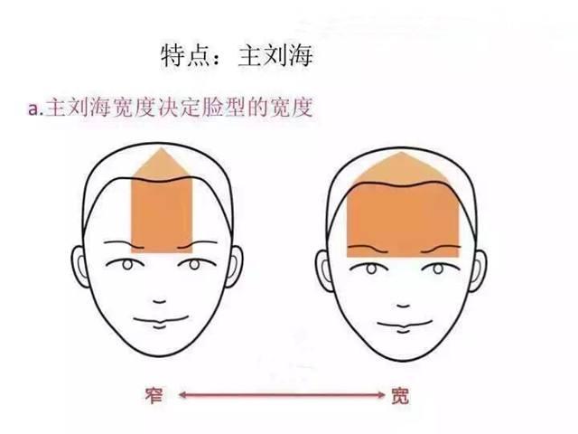 谭松韵简单的同款发型，赵露思、谭松韵牛角包发型