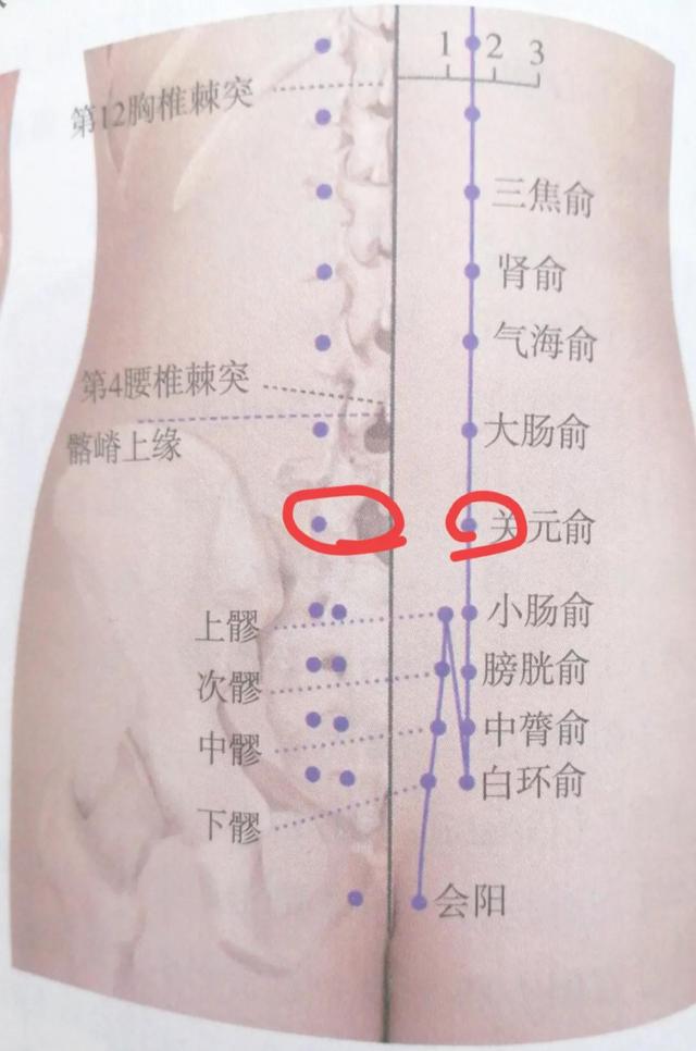 各脏腑的背俞穴，华佗夹脊穴与背俞穴有哪些不同