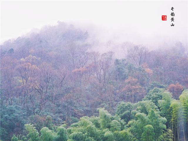 安徽黄山景点旅游攻略图文并茂，黄山超全旅游路线宝典