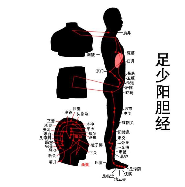 敲胆经的最佳时间这些功效了解下