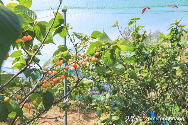 安吉旅游必去的景点，安吉旅游攻略必去景点推荐