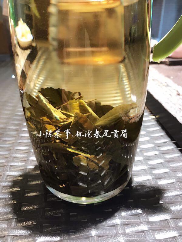 白茶如何冲泡最好，这三种经典手法