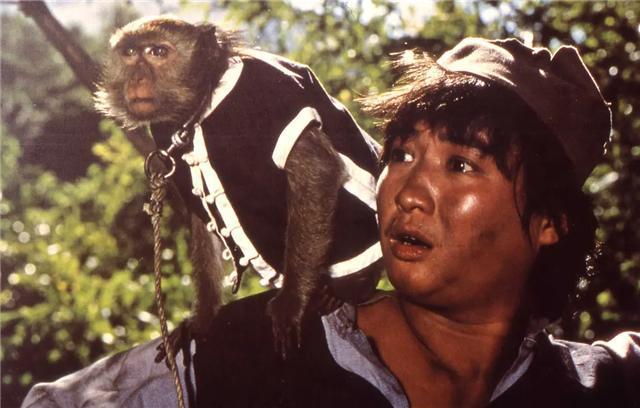 洪金宝跟元彪对打的电影，洪金宝第一次提携元彪当男一号