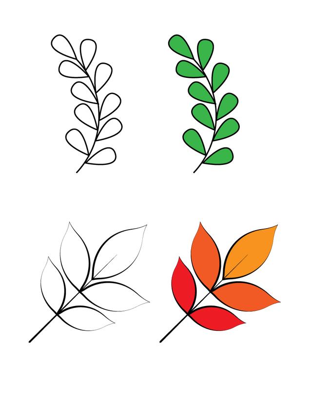 儿童叶子简笔画简单，16种不同树叶的儿童简笔画素材