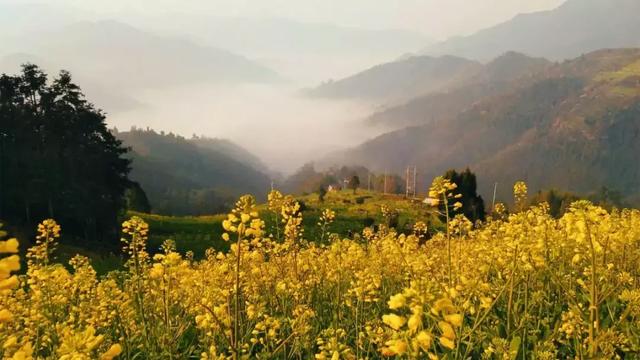 徽州古村落的风景，厚度旅行文山村