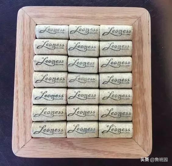 橡木相关知识，记得收藏这篇文章备用