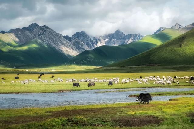 川西旅游攻略理塘，除了被丁真带火的理塘