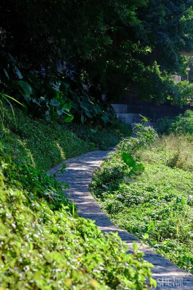 深圳旅游攻略景点推荐，深圳十条旅游路线（不完整的旅游景点和美食选择）