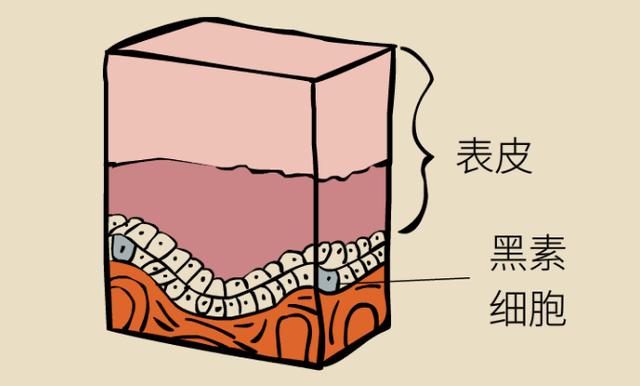 痣可以随便点吗如何正确点痣，再难看也不能随便点掉