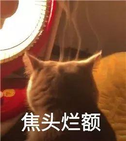 看表情包猜成语，表情包大全看图猜成语