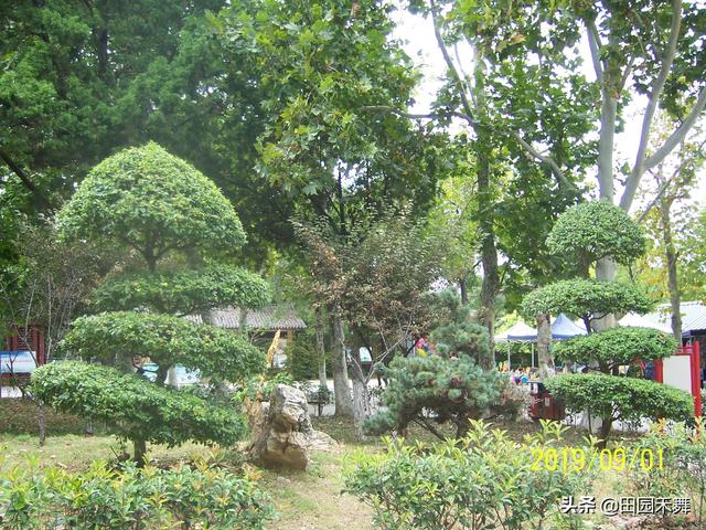 连云港新浦公园，连云港新浦公园在什么位置