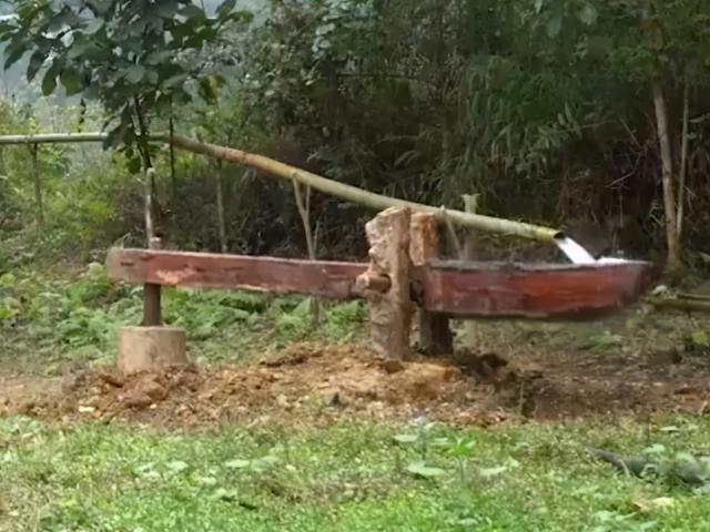 吉祥什么岁岁平安，猪年天天好运来围绕