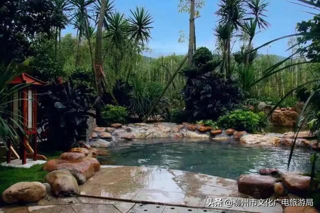 柳城县旅游攻略，攻略柳人游柳