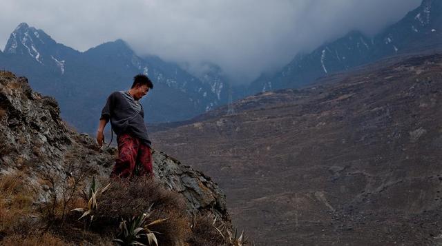 电影杀生剧情深度解析，因为一部剧而喜欢上一个人