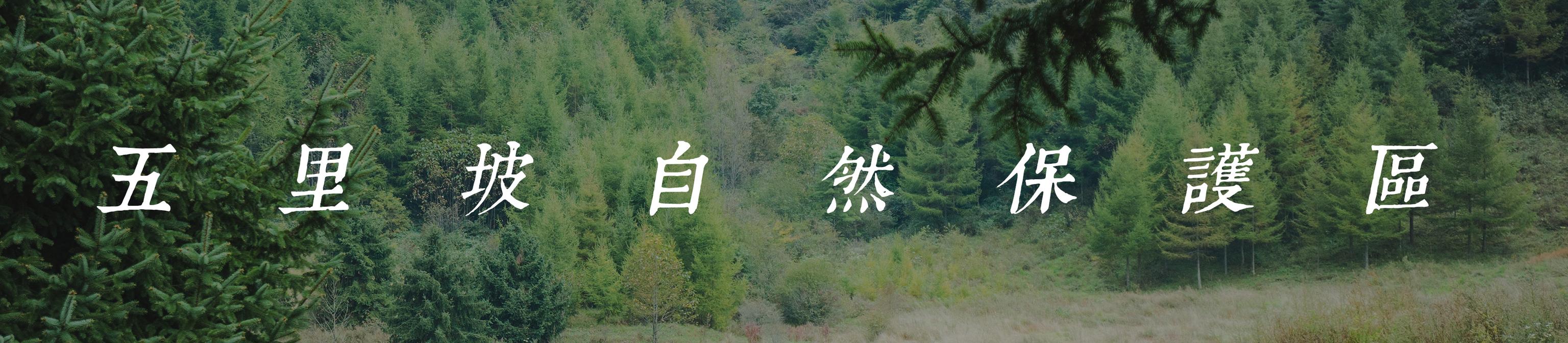 重庆环线自驾游最佳线路，5天打卡4座县城7个景点