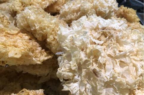 干货网红食品推荐，这里全是干货干货食品你了解吗