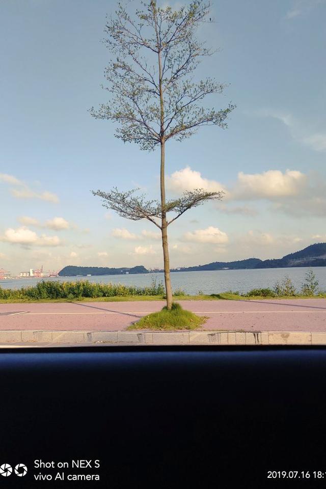 防城港旅游攻略必玩的景点，防城港旅游必去十大景点（广西防城港最值得去的五大景点）