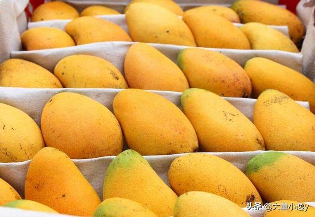 芒果界爱马仕贵妃芒，贵妃芒果今年价格