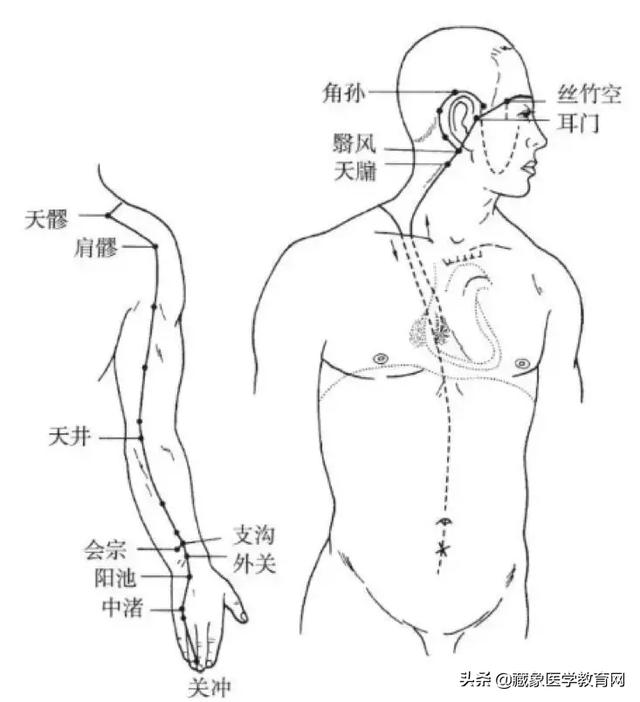 十二经络循行路线，十二经脉循行走向与交接规律图解（<十分钟教你终生不忘）