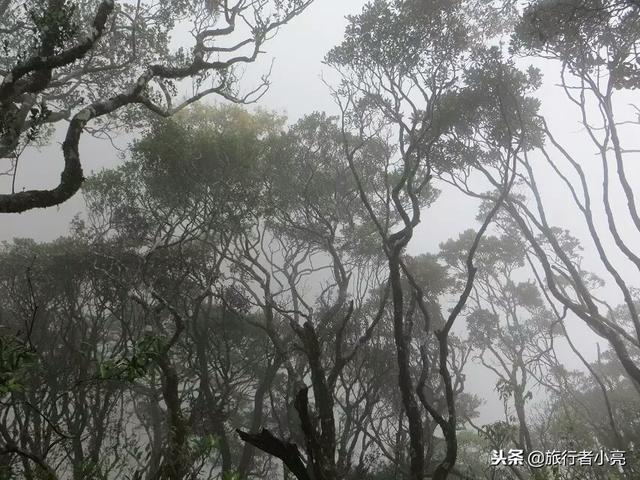 广西旅游景点大全，广西十大旅游景点推荐排名（广西旅游必去十大景点）