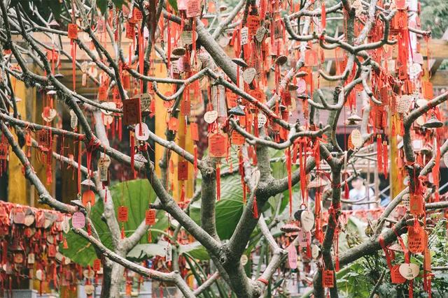 深圳十大山风景区，推荐10个非常值得一去的登山打卡点