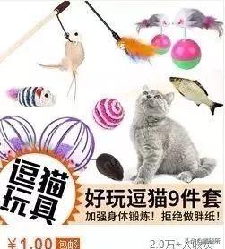 猫咪比较好的零食，提高猫咪生活质量