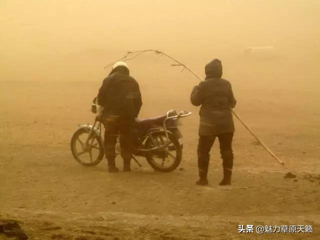 向草原奔跑揭秘蒙古族游牧文化，现已逐渐消失的走牧制度“敖特尔”