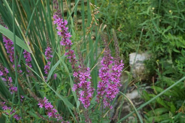 北京必玩景点排名，北京必玩的十个景点排名榜单（北京最值得去的12个景区）